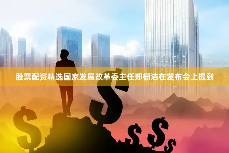 股票配资精选国家发展改革委主任郑栅洁在发布会上提到