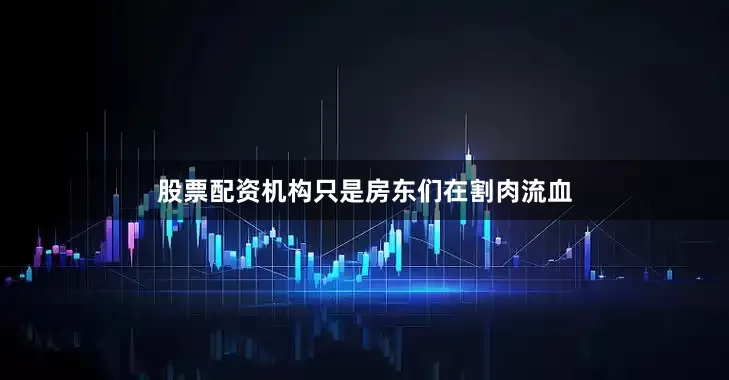 股票配资机构只是房东们在割肉流血