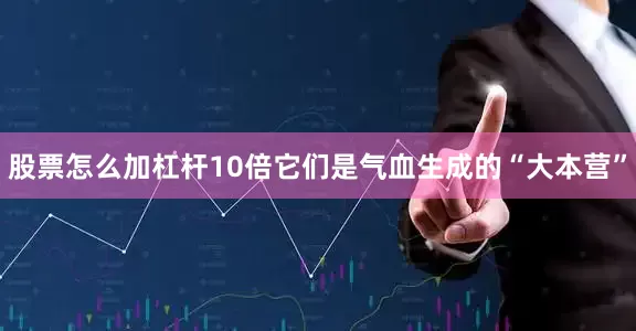 股票怎么加杠杆10倍它们是气血生成的“大本营”