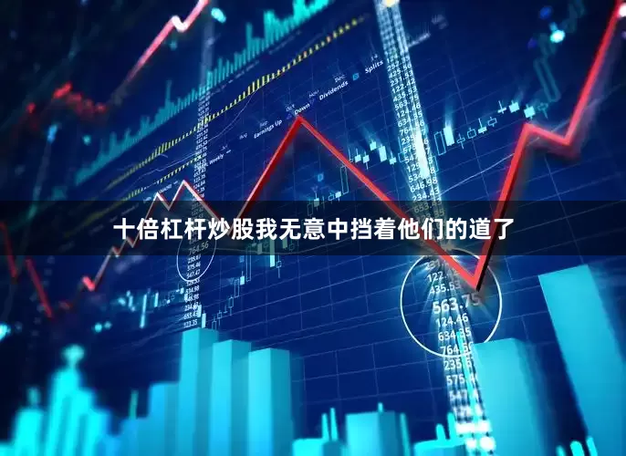十倍杠杆炒股我无意中挡着他们的道了